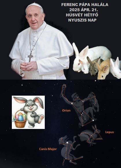 http://csillag-portal.hupont.hu/felhasznalok_uj/2/9/294777/kepfeltoltes/ferenc_papa_-_nyul.jpg?39280168