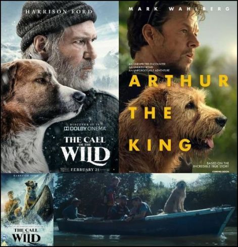http://csillag-portal.hupont.hu/felhasznalok_uj/2/9/294777/kepfeltoltes/the_call_of_the_wild_-_arthur_the_king.jpg?84698449