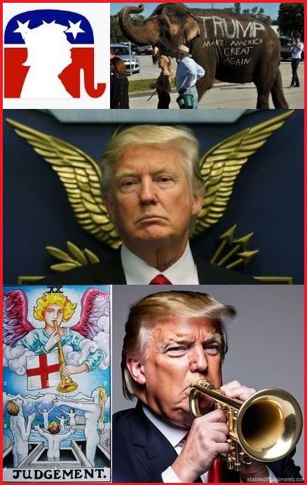 http://csillag-portal.hupont.hu/felhasznalok_uj/2/9/294777/kepfeltoltes/trump_elefant_-_vegitelet.jpg?28465724
