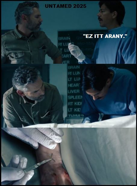 http://csillag-portal.hupont.hu/felhasznalok_uj/2/9/294777/kepfeltoltes/untamed_2025_-_arany_x.jpg?45880697