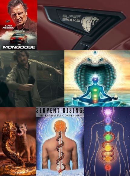 https://csillag-portal.hupont.hu/felhasznalok_uj/2/9/294777/kepfeltoltes/mongoose_-_liam_kundalini.jpg?32958096