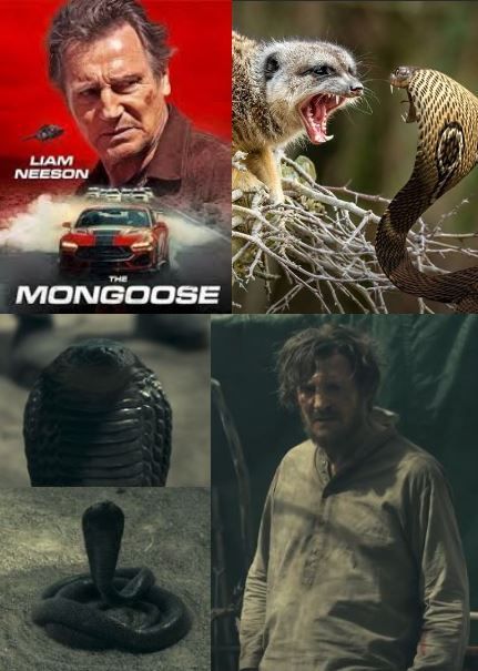 https://csillag-portal.hupont.hu/felhasznalok_uj/2/9/294777/kepfeltoltes/mongoose_-_liam_neeson_cobra.jpg?70852260